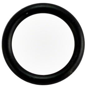 Waterway Plastics 806105129345 Lint Pot Drain Plug O-Ring