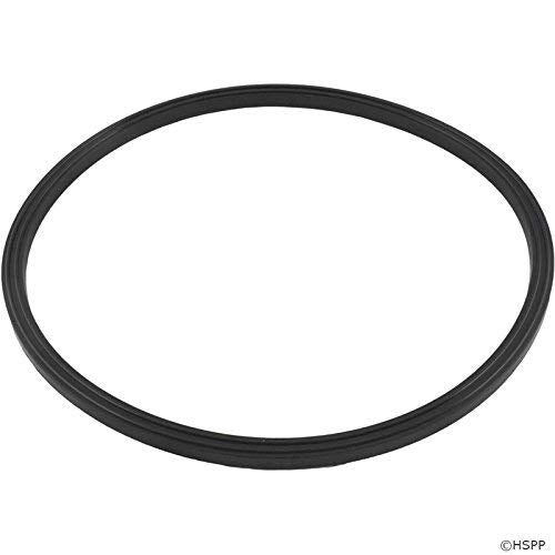 Pentair 70945 Pool & Spa Light Lens Gasket O-172