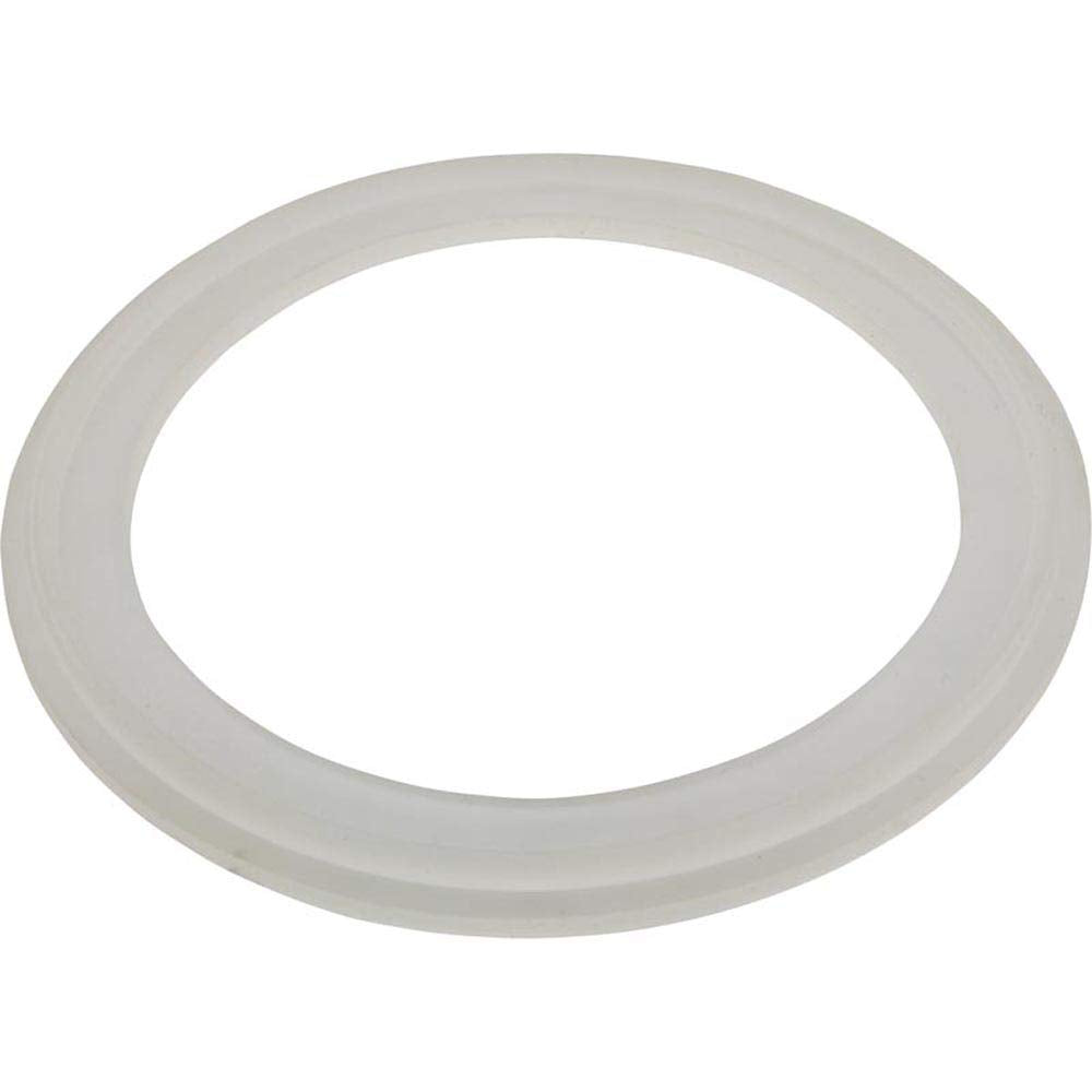 Waterway Plastics Gasket 3", Big Red