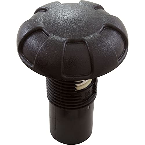 Waterway 1in. Top Access Air Control Valve 6 Spoke Design, Black 660-3511