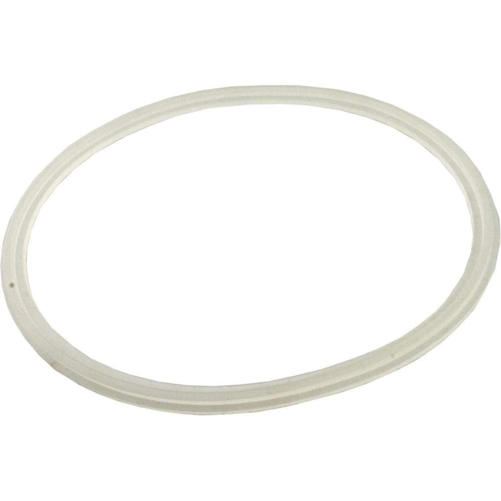 Waterway Plastics 806105124920 Skimmer Float Valve Gasket