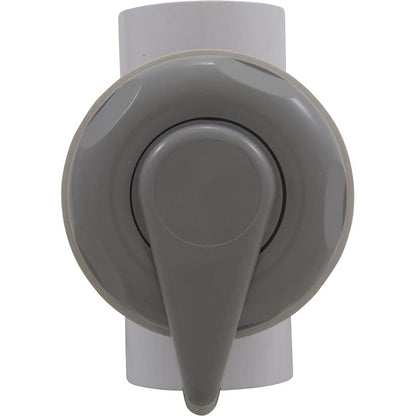 Custom Molded 25048-019-000 2"s 2 Port Lever Handle Diverter Valve - Gray