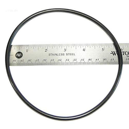Zodiac W13073 O-Ring for 2-Piece Locking Ring Cap Replacement for Select Zodiac Nature2 Cartridge