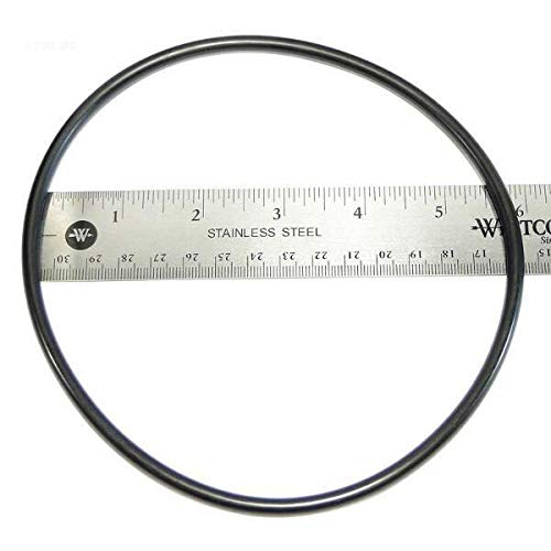 Zodiac W13073 O-Ring for 2-Piece Locking Ring Cap Replacement for Select Zodiac Nature2 Cartridge