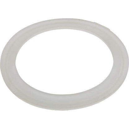 Waterway Plastics Gasket 3", Big Red