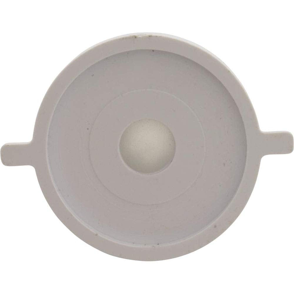 Custom Molded Products Check Valve Assembly, CMP PowerClean Mini Chlorinator