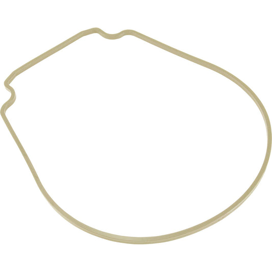 Pentair 357102 Almond Seal plate Gasket Replacement Pool and Spa Inground Pump