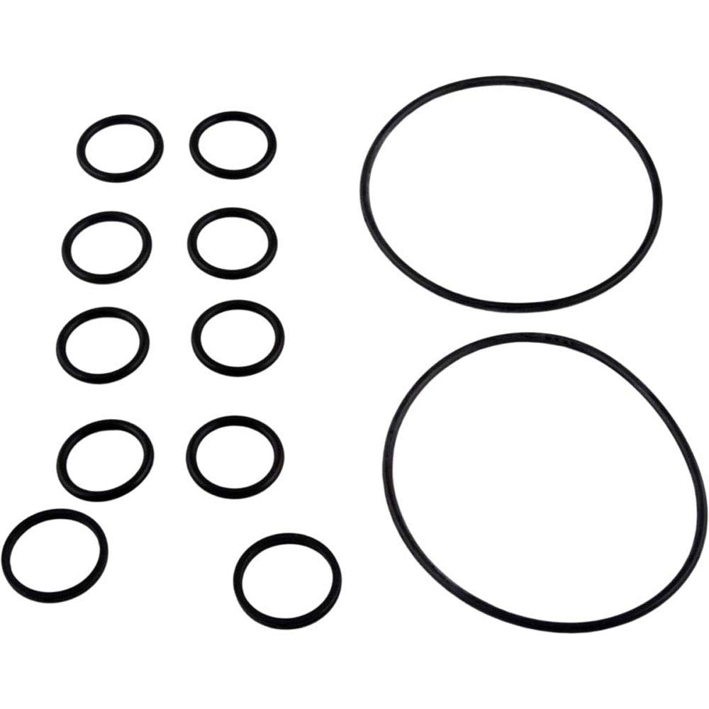 Zodiac R0552400 O-Ring Replacement Kit for Select Zodiac Never Lube Backwash Valve