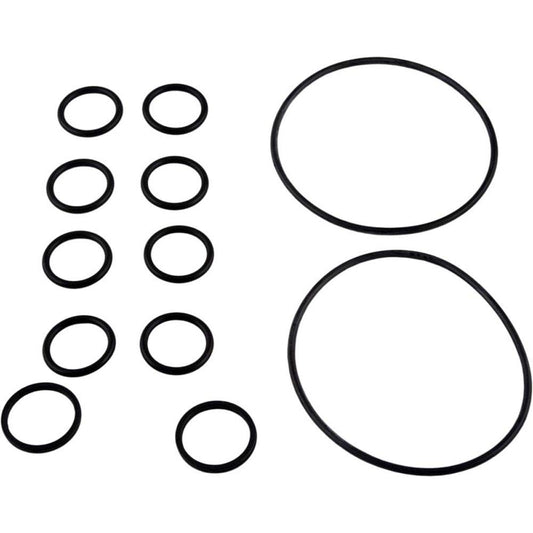 Zodiac R0552400 O-Ring Replacement Kit for Select Zodiac Never Lube Backwash Valve