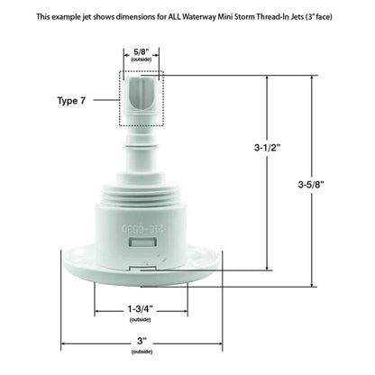 Waterway Plastics Jet Intl, WW Mini Storm, 3" fd, Twin Roto, Smth, SS/Gry, THD