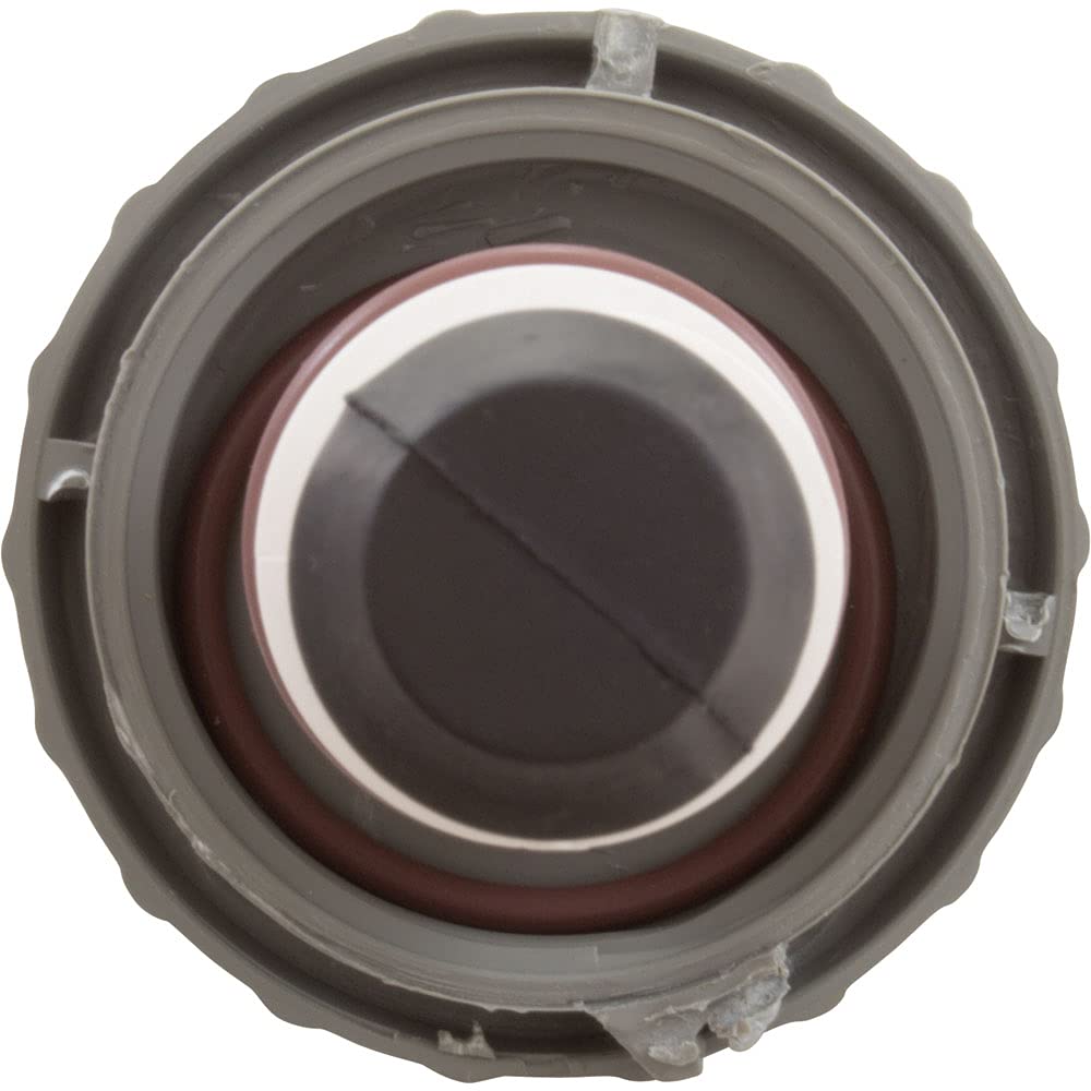 Waterway Plastics WW6001207B 4 Tab Inline Chlorinator Stem