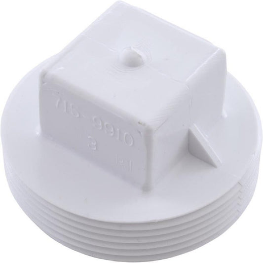 Waterway Plug, 2" Male Pipe Thread