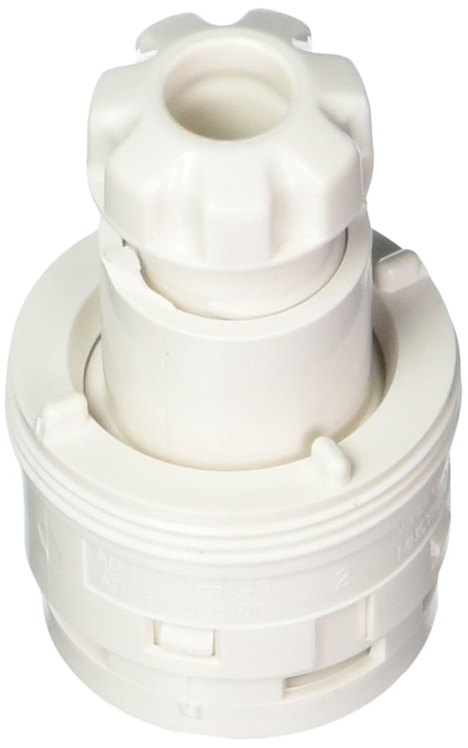 Waterway Plastics 806105021168 Adjustable Poly Internal kit