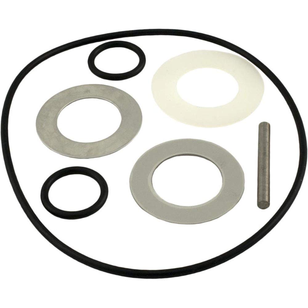 Waterway Plastics 806105211613 O-Ring/Washer Kit