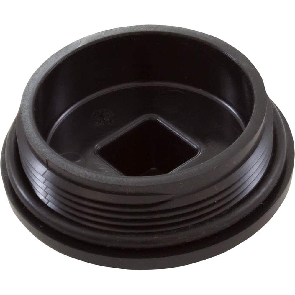 Horizon Spa & Pool Parts Plug 2 W/Gasket 13001102 43309202R