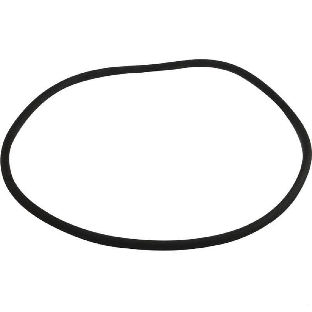 Generic O-100 O-Ring