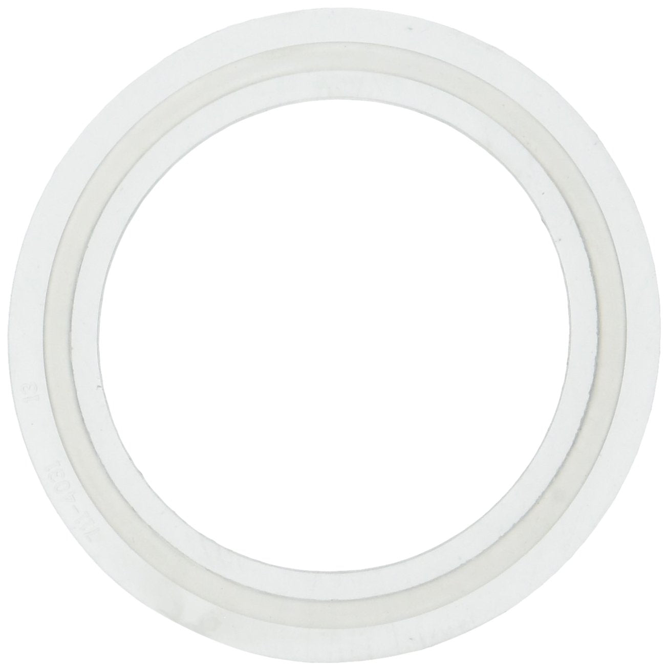 Waterway Plastics 806105124593 2" Heater O-Ring/Gasket
