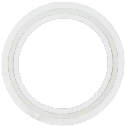 Waterway Plastics 806105124593 2" Heater O-Ring/Gasket