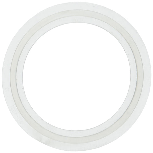 Waterway Plastics 806105124593 2" Heater O-Ring/Gasket
