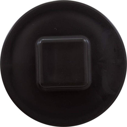 Horizon Spa & Pool Parts Plug 2 W/Gasket 13001102 43309202R