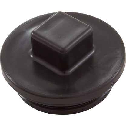 Horizon Spa & Pool Parts Plug 2 W/Gasket 13001102 43309202R