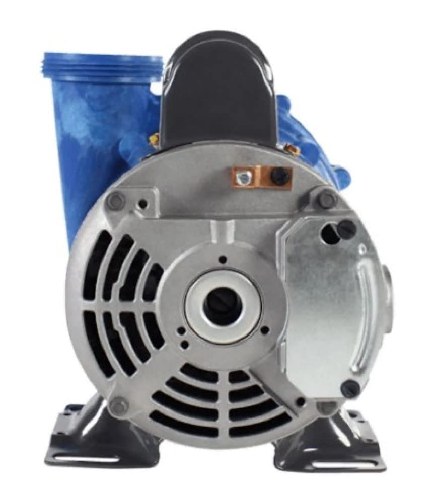 Aqua-Flo by Gecko Alliance Pump: 1/15Hp 230V 1-Speed 48 Frame Xp2 Cal Spas with Amp Plug