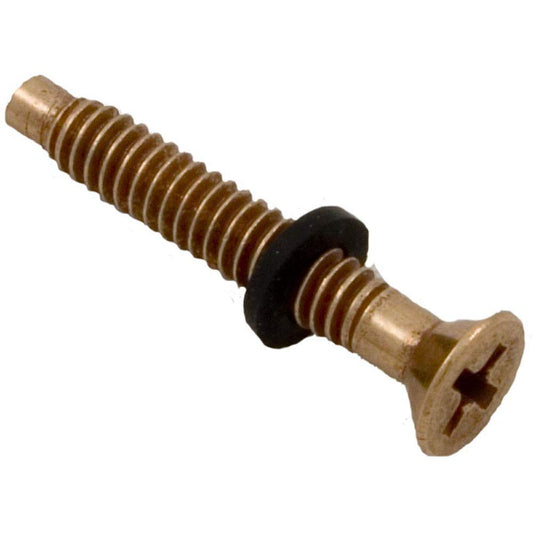 Pentair 79104800 Brass Pilot Screw with Captive Gum Washer Replacement Pool and Spa Light