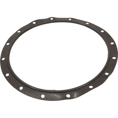 Astral Products 723R4140120 Gasket, Lid, Astral, Vert Filters 47"/55"/63"/71"/79"/93"