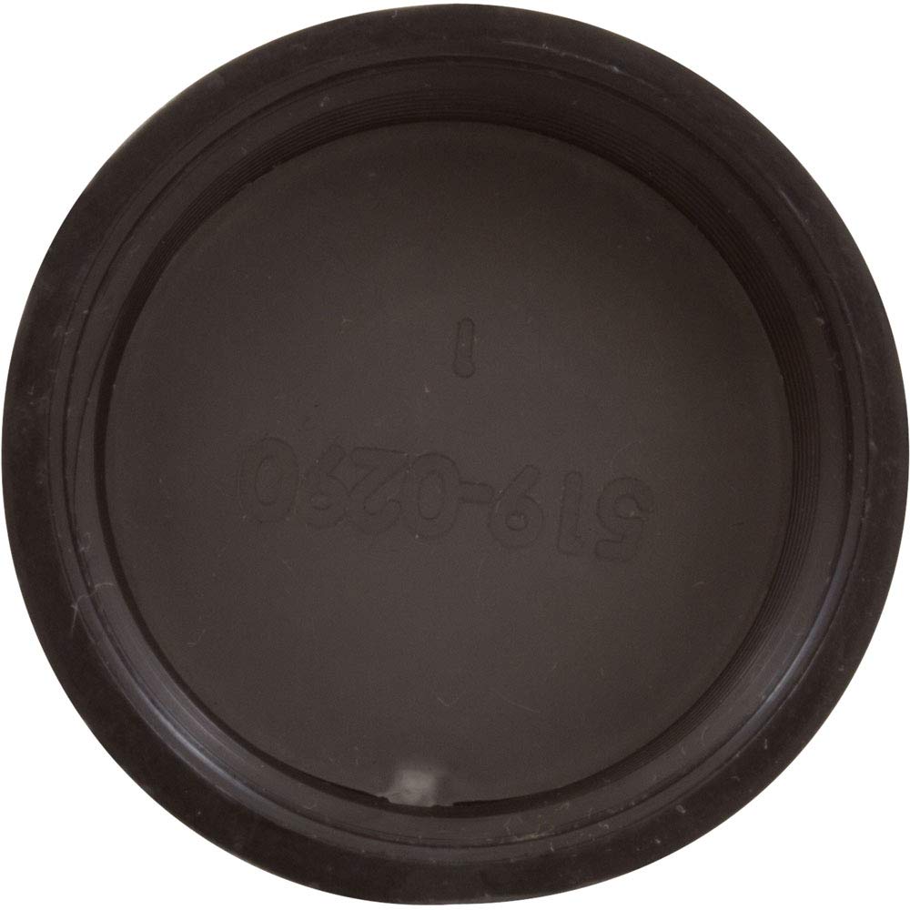 550-0260 Waterway Plastics Drain Cap Assembly, Waterway Pro Clean Plus