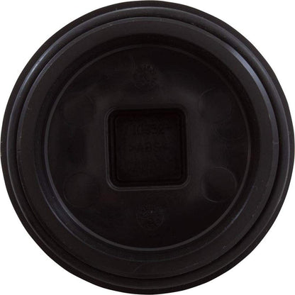 Horizon Spa & Pool Parts Plug 2 W/Gasket 13001102 43309202R