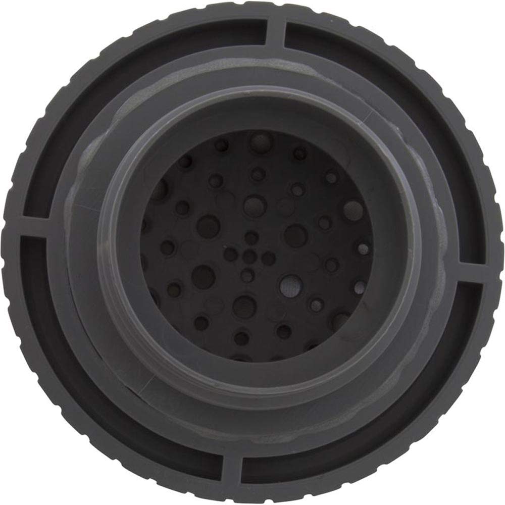 CMP Rain Spa Jet Internal 1-1/2" Gray 23315-301-000