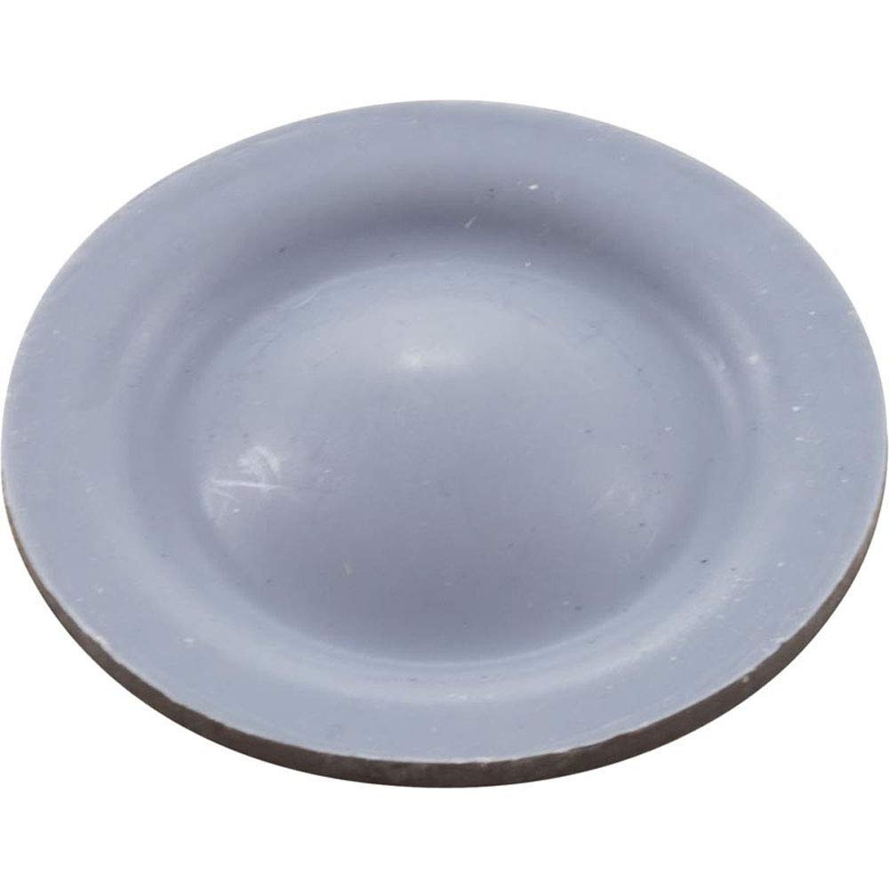 Diaphragm, Blue-White A-600 Chemical Pump, EP/PTFE