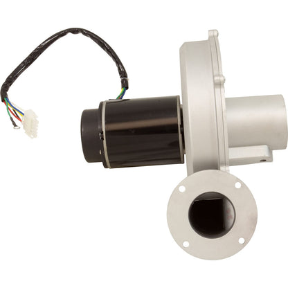 Jandy Pro Series Blower Assembly