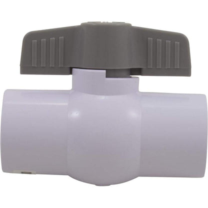 Ball Valve 1IN PVC Slip 25800-110-000