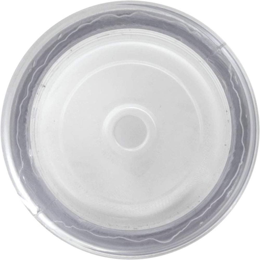 Pentair 272550 Sight Glass with Vacuum Projector Replacement Hi-Flow Pool and Spa MultiPort Valve