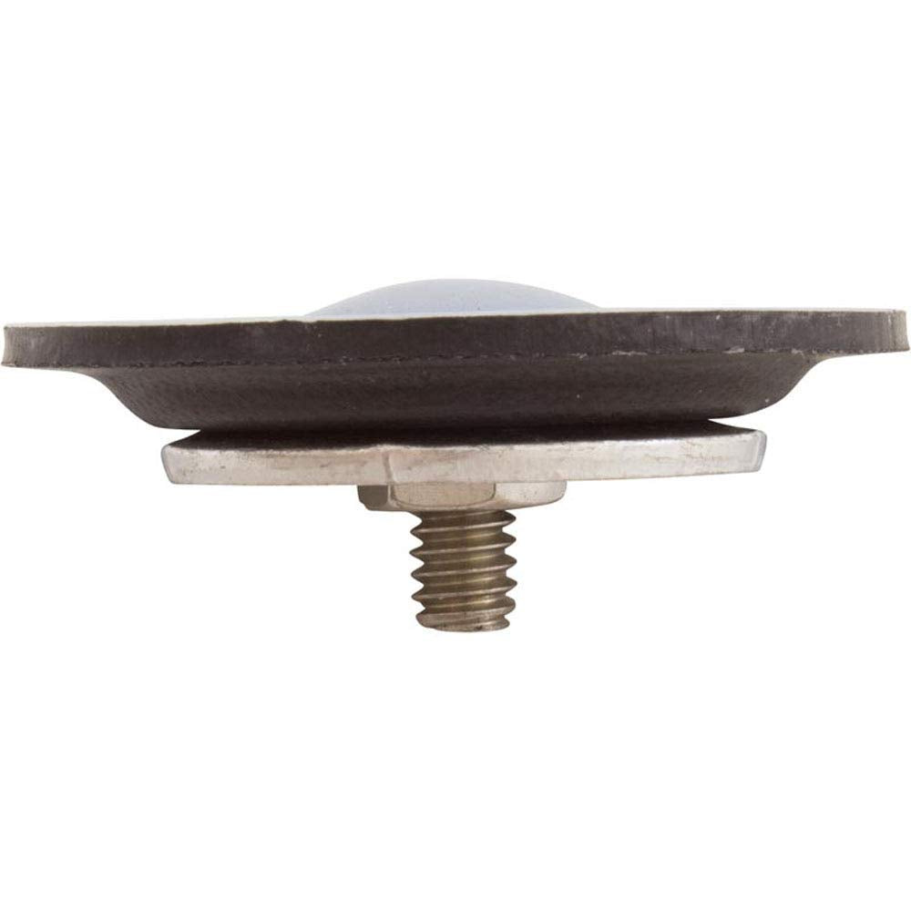 Diaphragm, Blue-White A-600 Chemical Pump, EP/PTFE