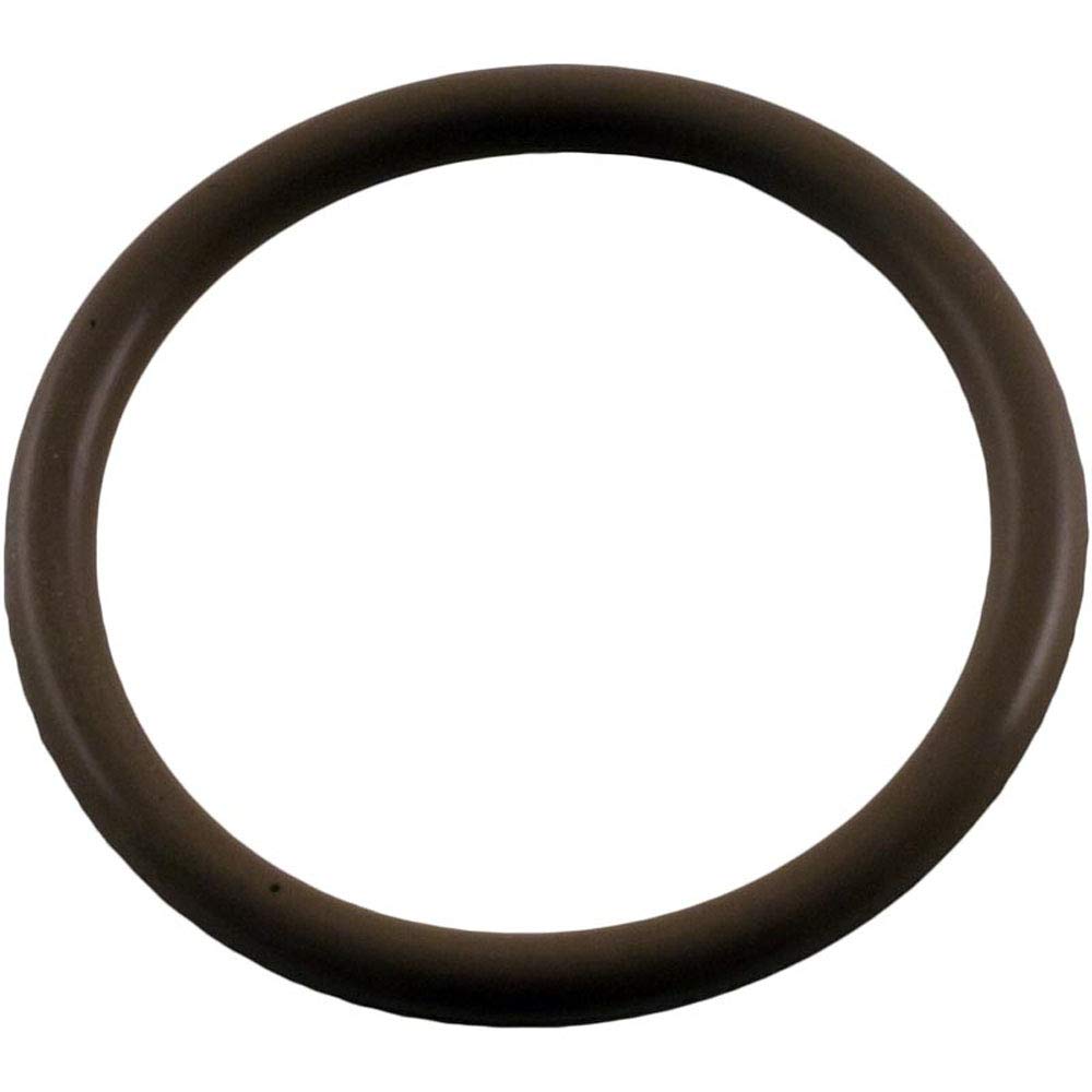 Waterway Plasti O-Ring, Power Gunite Adapter