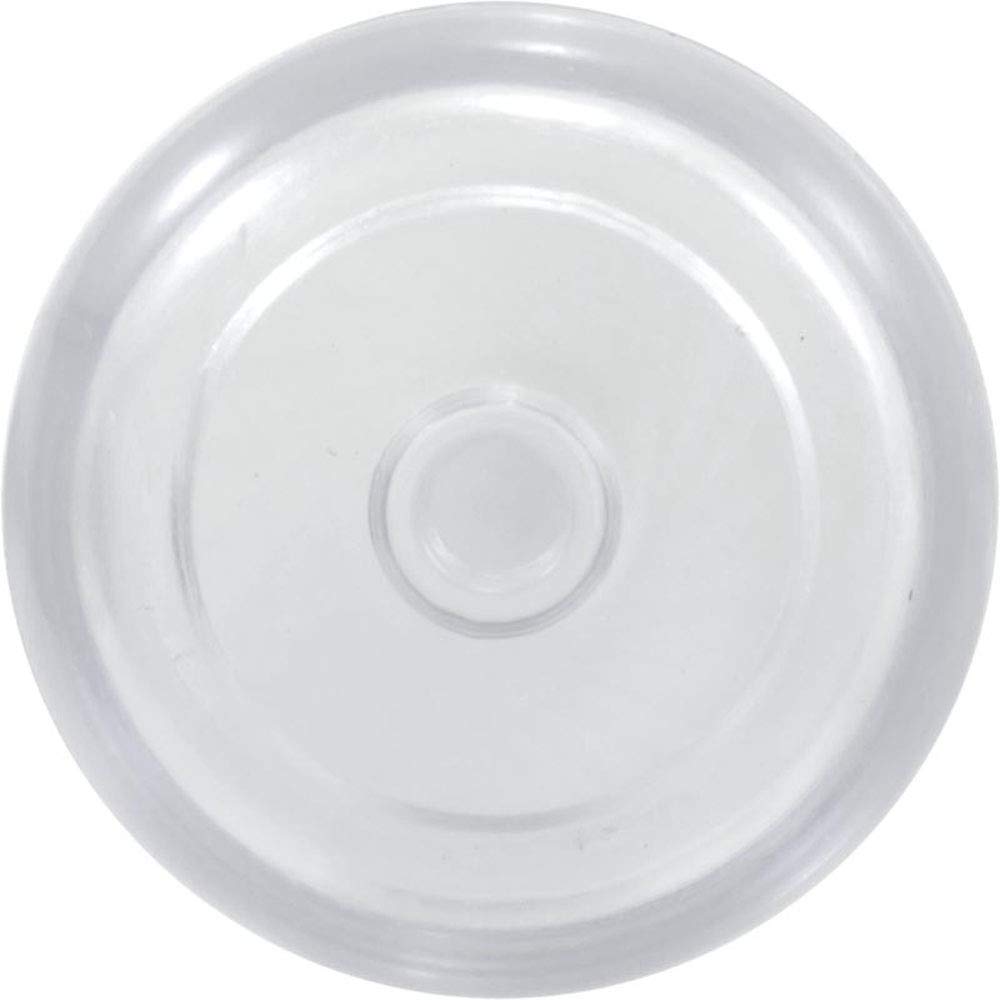 Pentair 272550 Sight Glass with Vacuum Projector Replacement Hi-Flow Pool and Spa MultiPort Valve