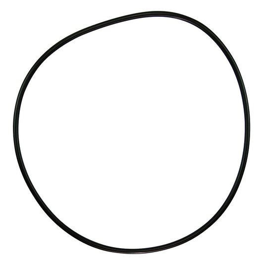 Pentair 071433 O-Ring Replacement C-Series C-18 Commercial Pool and Spa Pump