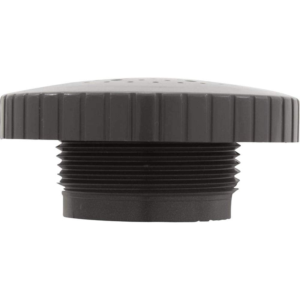 Custom Molded Products 23315-307-000 1-1/2" Rain Spa Jet Internal - Dark Gray