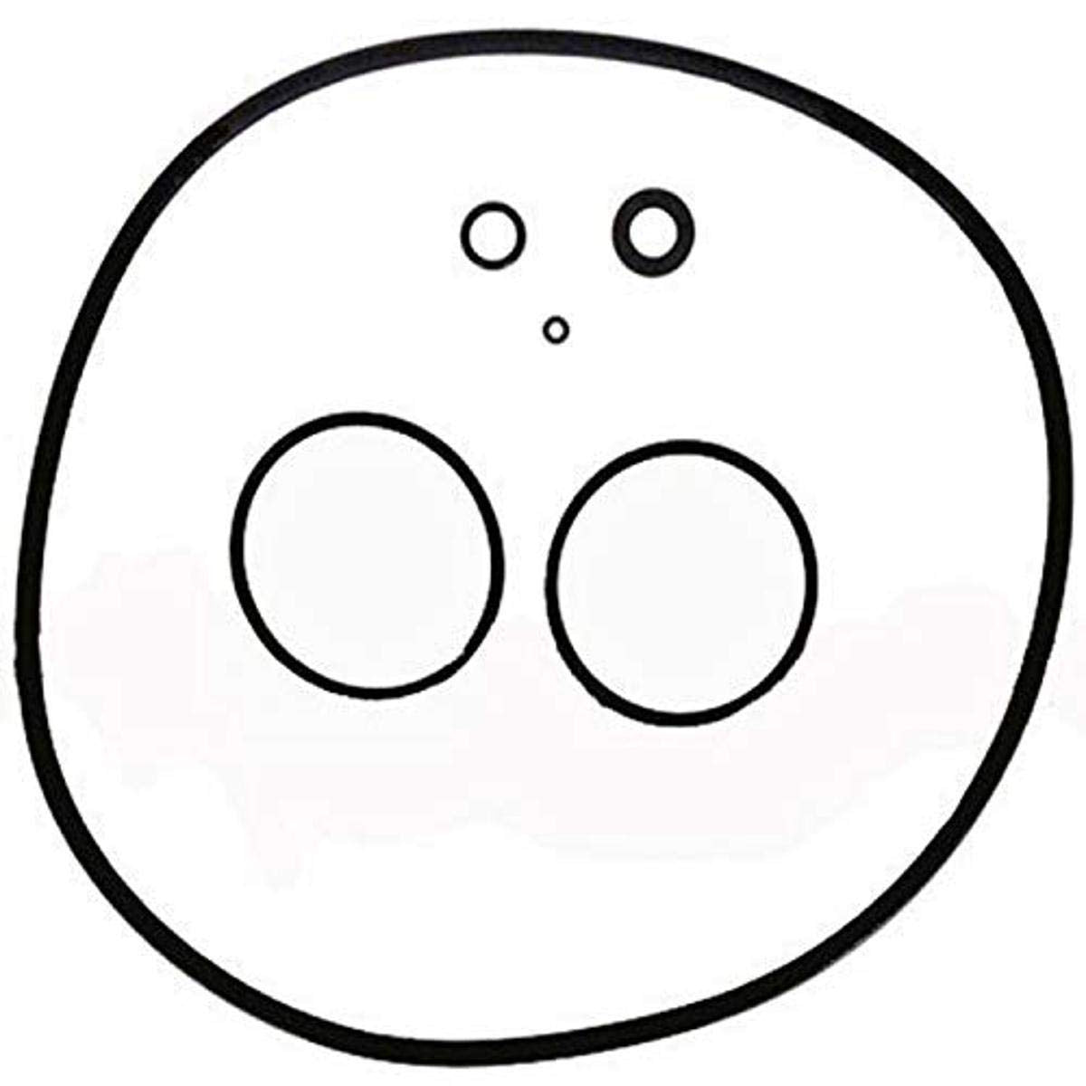 Zodiac R0466300 O-Ring Set Replacement for Zodiac Jandy CS Series Cartridge Pool and Spa Filters