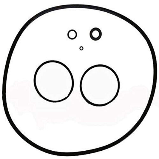 Zodiac R0466300 O-Ring Set Replacement for Zodiac Jandy CS Series Cartridge Pool and Spa Filters