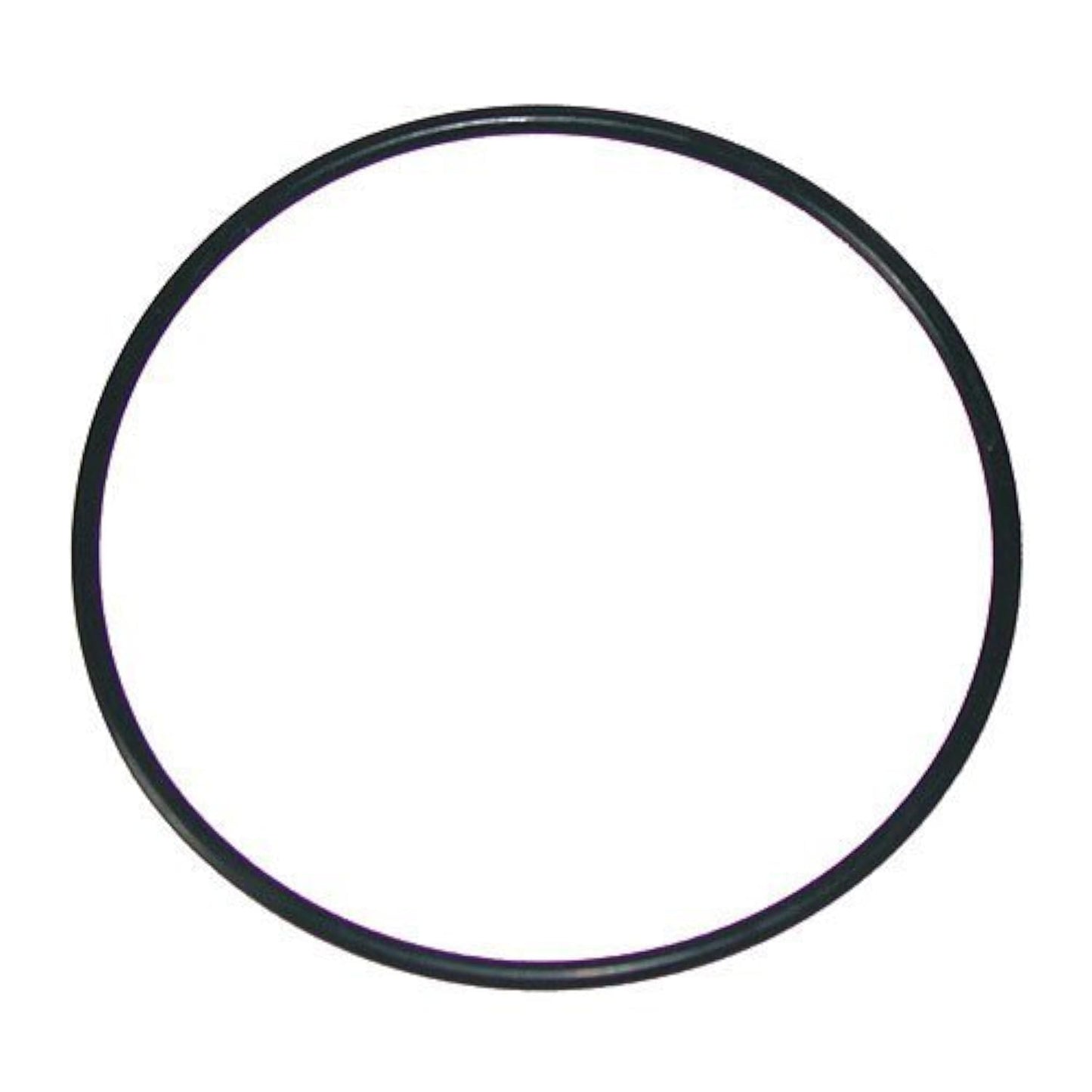 Waterway Hi-Flo Series Pump Trap Lid O-Ring 6" O-318 805-0436