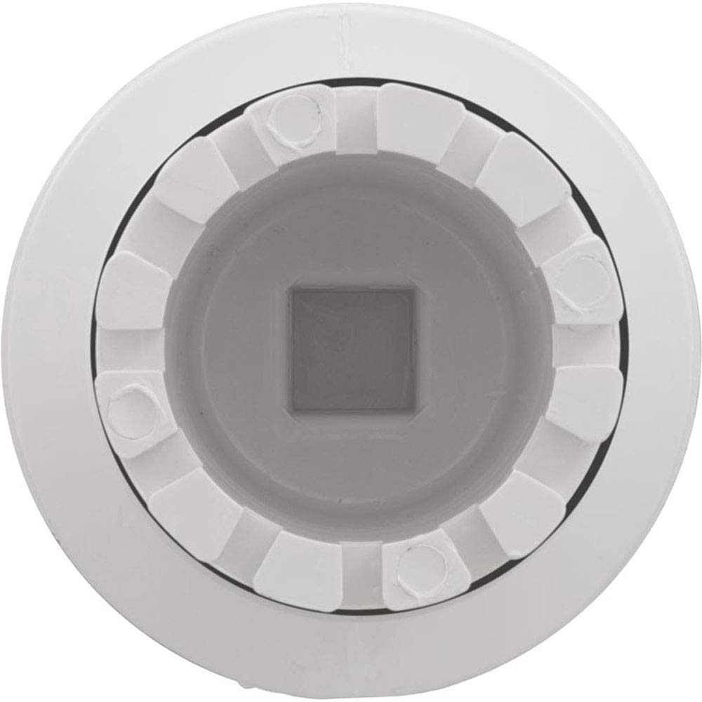 Waterway Plastics 806105051899 Tool Wall Fitting/Test Plug Poly Jet