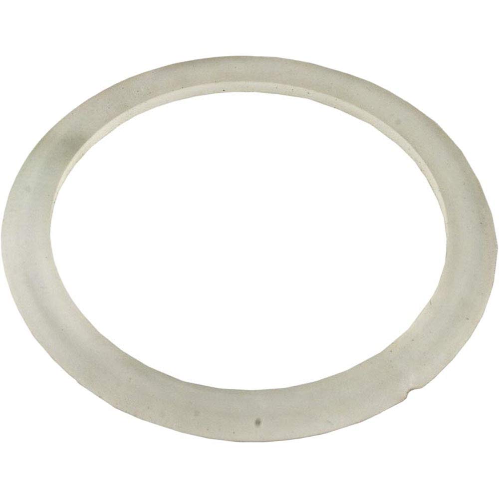 Waterway Plastics 806105251824 Crystal Water Cartridge & D.E. Filter 2 1/2" Beveled Gasket