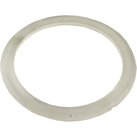 Waterway Plastics 806105251824 Crystal Water Cartridge & D.E. Filter 2 1/2" Beveled Gasket