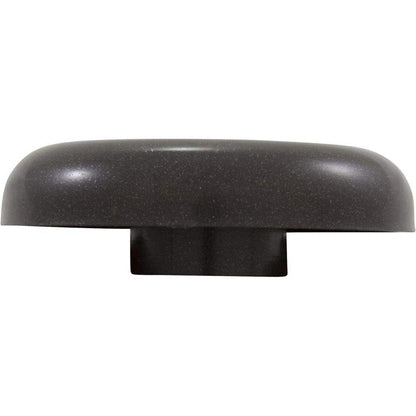 Waterway Plastics 1" Top Access Valve, Matte Cap for S" Style -Dsg