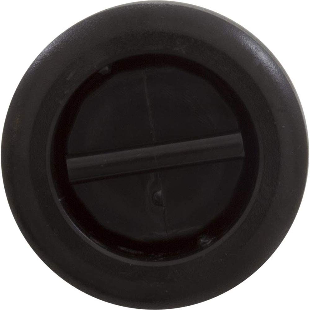 Waterway Drain-Fill Valve Assembly 600-9101