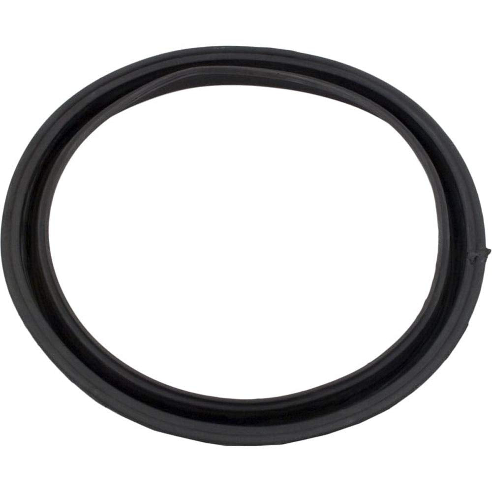 Gasket, EC65/EC75, Diaphragm, G-348, Generic