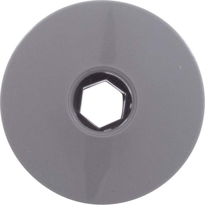 Waterway Plastics 806105046581 Internal WW Ozone Cluster 1-1/2"fd Fixed Smooth Gray Jet